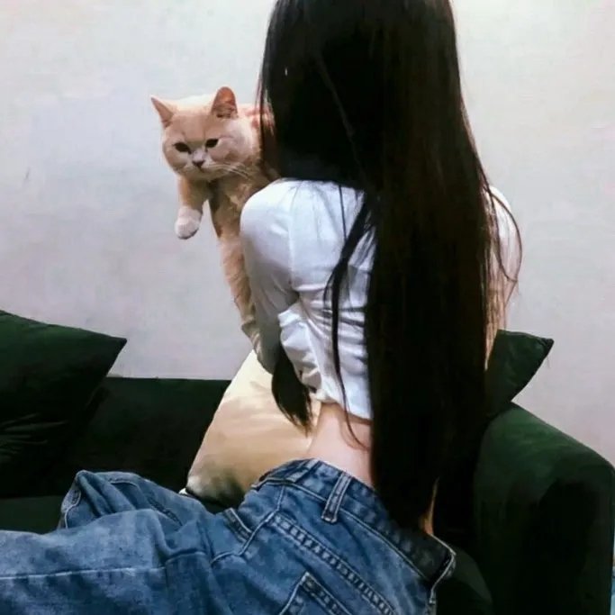 我们的队伍向太阳